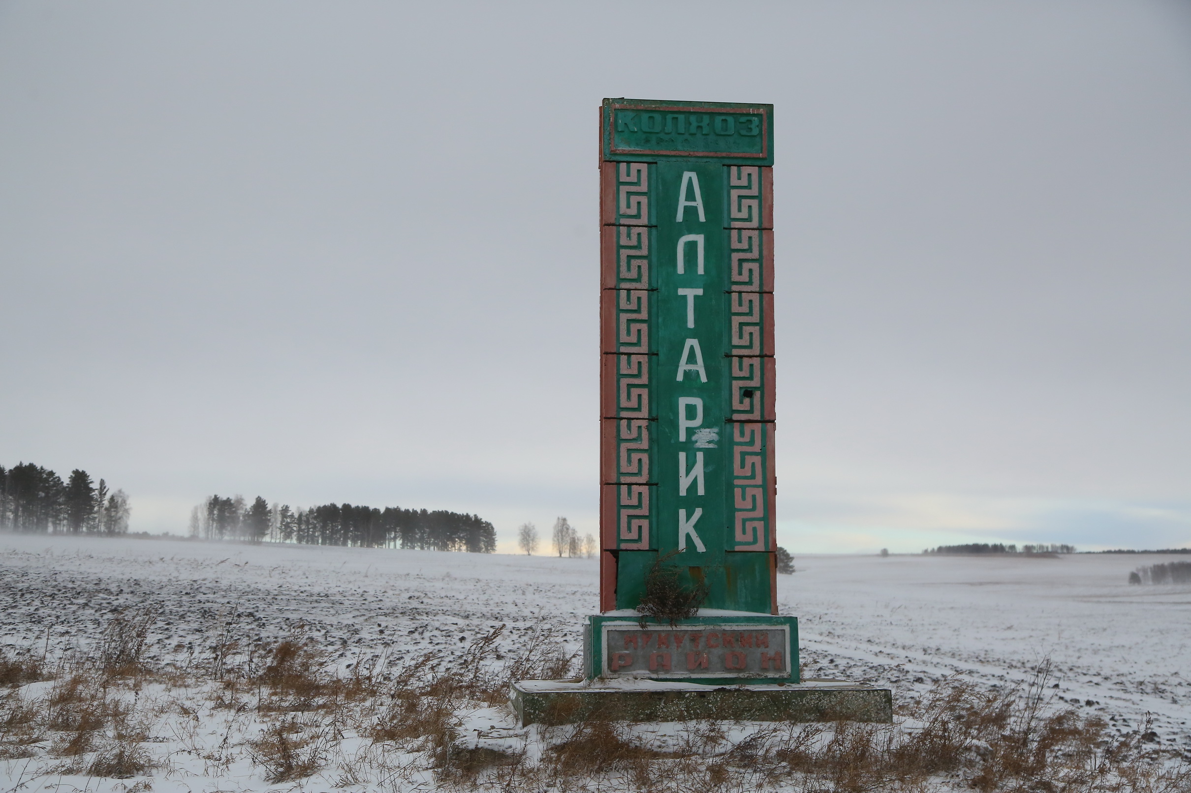 Сливы кавказа в телеграмме фото 89